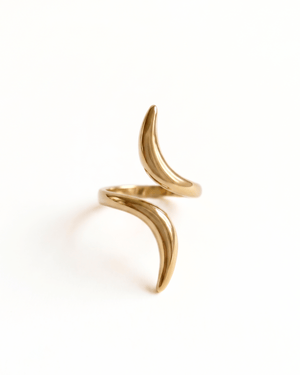 Anello serpente Giunquilla in acciaio placcato oro 18k, simbolo di guarigione e rigenerazione Anello Sirbiss Giunquilla a forma di serpente dorato, energia di saggezza ancestrale e cicli femminili Anello serpente Giunquilla in oro 18k, simbolo di rinascita e fluidità del sacro femminile Anello Sirbiss Giunquilla: il mito del serpente guaritore in acciaio placcato oro 18k Anello a serpente Giunquilla, gioiello spirituale che recupera la forza femminile dei cicli della vita