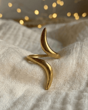 Anello serpente Giunquilla in acciaio placcato oro 18k, simbolo di guarigione e rigenerazione Anello Sirbiss Giunquilla a forma di serpente dorato, energia di saggezza ancestrale e cicli femminili Anello serpente Giunquilla in oro 18k, simbolo di rinascita e fluidità del sacro femminile Anello Sirbiss Giunquilla: il mito del serpente guaritore in acciaio placcato oro 18k Anello a serpente Giunquilla, gioiello spirituale che recupera la forza femminile dei cicli della vita
